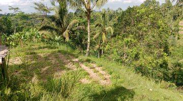 Gambar 1 Tanah Murah Vew Hutan Lembah Lokasi Tenang Diubud