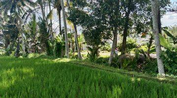 Gambar 1 Tanah Suasana Cantik Menawan Diubud, Vew Sawah, Sungai Dan Hutan