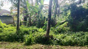 Gambar 3 Tanah Murah View Jungle Tenang Dan Nyaman Area Ubud 