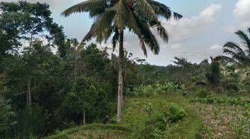 Gambar 2 Tanah Murah Vew Hutan Lembah Lokasi Tenang Diubud