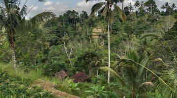 Gambar 3 Tanah Murah Vew Hutan Lembah Lokasi Tenang Diubud