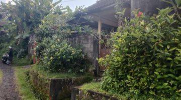 Gambar 4 Tanah Murah View Jungle Tenang Dan Nyaman Area Ubud 