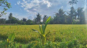 Gambar 5 Vila Modern, Lingkungan Nyaman Di Sayan Ubud