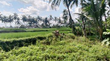 Gambar 4 Tanah Suasana Cantik Menawan Diubud, Vew Sawah, Sungai Dan Hutan