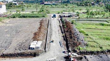 Gambar 3 Tanah Kavling Murah View Sawah Di Yeh Gangga Tabanan