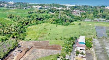 Gambar 5 Tanah Kavling Murah View Sawah Di Yeh Gangga Tabanan