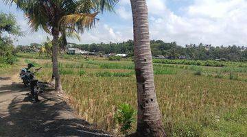 Gambar 2 Tanah lodtudnuh ubud Los Sungai Dan jungle