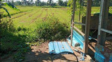 Gambar 4 Tanah Tampaksiring Dekat ubud View Cantik