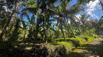 Gambar 4 Tanah lodtudnuh ubud Los Sungai Dan jungle