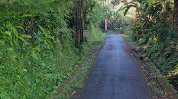 Gambar 4 Tanah murah cocok Villa dekat Ubud Dan pejeng