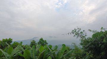 Gambar 2 Tanah di Parung panjang, cocok perkebunan  perumahan pabrik  