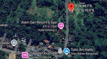 Gambar 4 Dijual Cepat Dan Murah Tanah di Jalan Raya Utama Keliki Ubud