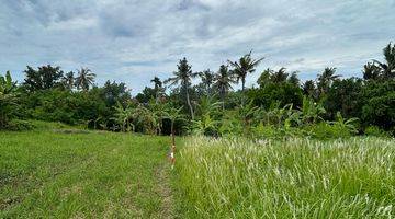 Gambar 3 Tanah Murah 830 M2 Dekat Pantai Kedungu