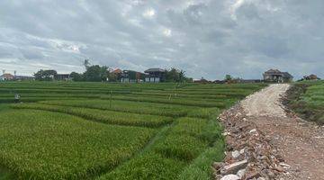 Gambar 4 Jual Tanah View Sawah Aktif Dekat Canggu Zona Kuning