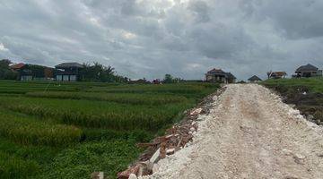 Gambar 5 Jual Tanah View Sawah Aktif Dekat Canggu Zona Kuning