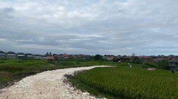 Gambar 1 Jual Tanah View Sawah Aktif Dekat Canggu Zona Kuning