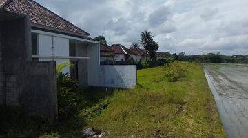 Gambar 4 Jual Global 3215 M2 di Bongan Tabanan View Sawah