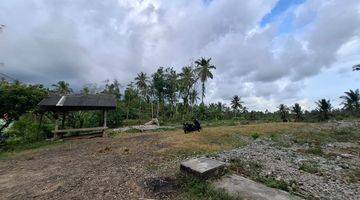 Gambar 5 Tanah Murah 12300 M2 Kawasan Balian Beach 