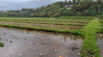 Gambar 5 Tanah Buc 18 Hektar di Dekat Pantai Bonian For Sale