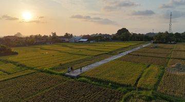 Gambar 3 Tanah Murah View Sawah Kawasan Kedungu Tabanan