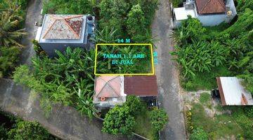 Gambar 3 Jual Tanah 110 M2 Langka Dekat Tanah Lot