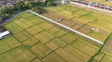 Gambar 5 Tanah Murah View Sawah Kawasan Kedungu Tabanan