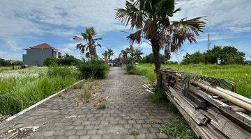 Gambar 4 Tanah Murah 830 M2 Dekat Pantai Kedungu