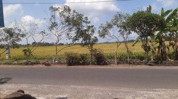 Gambar 1 Jual Tanah Sawah Global di Kelating Tabanan Dekat Pantai