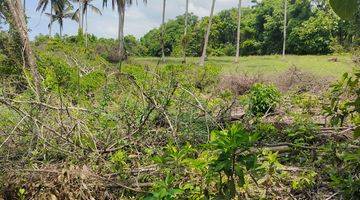 Gambar 3 Tanah Buc 18 Hektar di Dekat Pantai Bonian For Sale