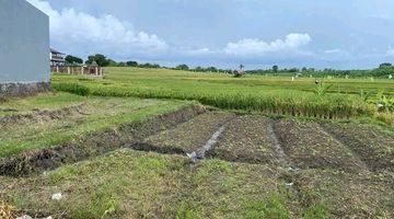 Gambar 1 Tanah 183 M2 Super Langka di Tumbak Bayuh