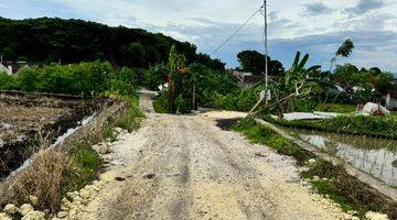 Gambar 3 Tanah Dijual di Tabanan Bali Kawasan Nyitdah Dekat Pantai