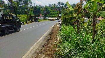 Gambar 2 Tanah Matang Lokasi di Jalan Raya Lembang Strategis