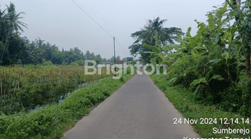 Gambar 3 TANAH SAWAH SUASANA PEDESAAN