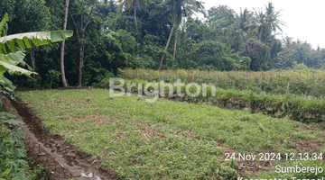 Gambar 1 TANAH SAWAH SUASANA PEDESAAN