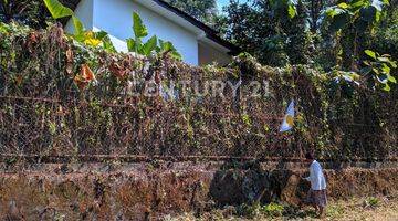 Gambar 4 Tanah Kebun Pekarangan Gunung Pati Semarang