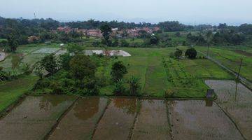 Gambar 2 Dijual Tanah Sawah/ Persawahan 8000m² Di Gn Sari Pamijahan Bogor