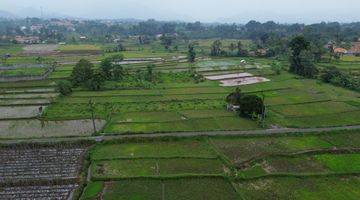 Gambar 1 Dijual Tanah Sawah/ Persawahan 8000m² Di Pamijahan Bogor. 