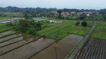 Gambar 5 Dijual Tanah Sawah/ Persawahan 8000m Gn Sari Pamijahan Bogor. 