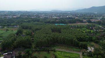 Gambar 1 Dijual Tanah Potensial Prospek 4,5ha  Jl Tegalwaru Ciampea Bogor. 