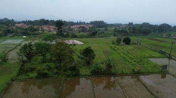 Gambar 5 Dijual Tanah Sawah/ Persawahan 8000m² Di Pamijahan Bogor. 