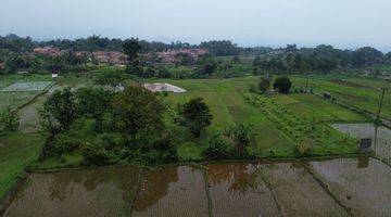 Gambar 1 Dijual Tanah Sawah/ Persawahan 8000m Gn Sari Pamijahan Bogor. 