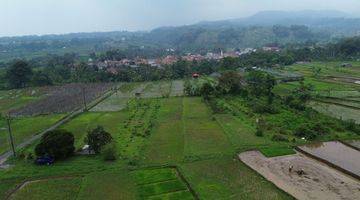 Gambar 3 Dijual Tanah Sawah/ Persawahan 8000m² Di Gn Sari Pamijahan Bogor