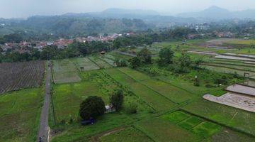 Gambar 2 Dijual Tanah Sawah/ Persawahan 8000m² Di Pamijahan Bogor. 