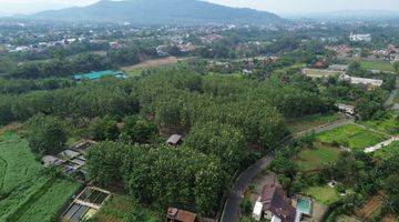 Gambar 3 Dijual Tanah Potensial Prospek 4,5ha  Jl Tegalwaru Ciampea Bogor. 