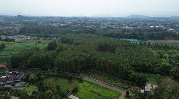 Gambar 2 Dijual Tanah Potensial Prospek 4,5ha  Jl Tegalwaru Ciampea Bogor. 