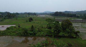 Gambar 2 Dijual Tanah Sawah/ Persawahan 8000m Gn Sari Pamijahan Bogor. 