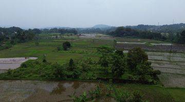 Gambar 4 Dijual Tanah Sawah/ Persawahan 8000m² Di Gn Sari Pamijahan Bogor