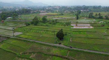 Gambar 4 Dijual Tanah Sawah/ Persawahan 8000m Gn Sari Pamijahan Bogor. 