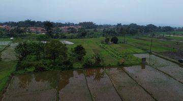 Gambar 4 Dijual Tanah Sawah/ Persawahan 8000m² Di Pamijahan Bogor. 