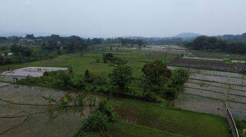 Gambar 3 Dijual Tanah Sawah/ Persawahan 8000m² Di Pamijahan Bogor. 